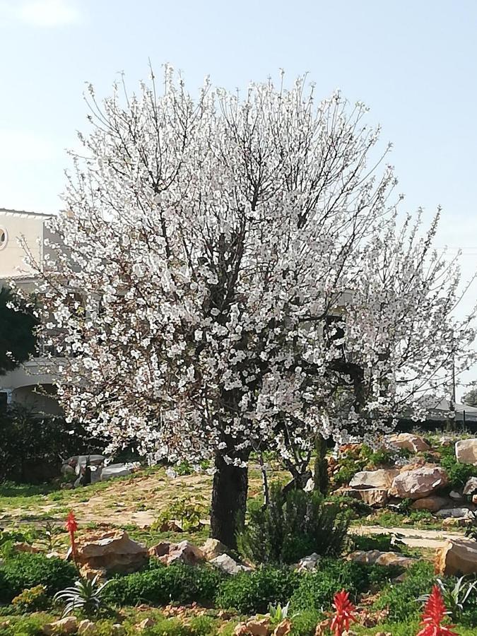 Monte Viana Villa Фузета Екстериор снимка